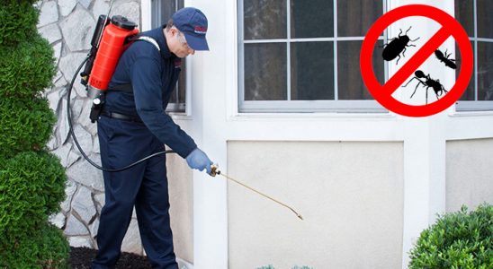 Araklı Böcek İlaçlama böcek ilaçlama ve haşere kontrolü — ilaclama-tr.com